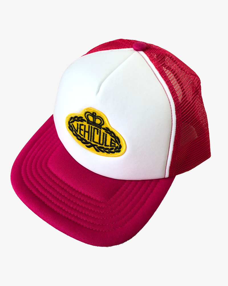 THE 500$ TRUCKER HAT