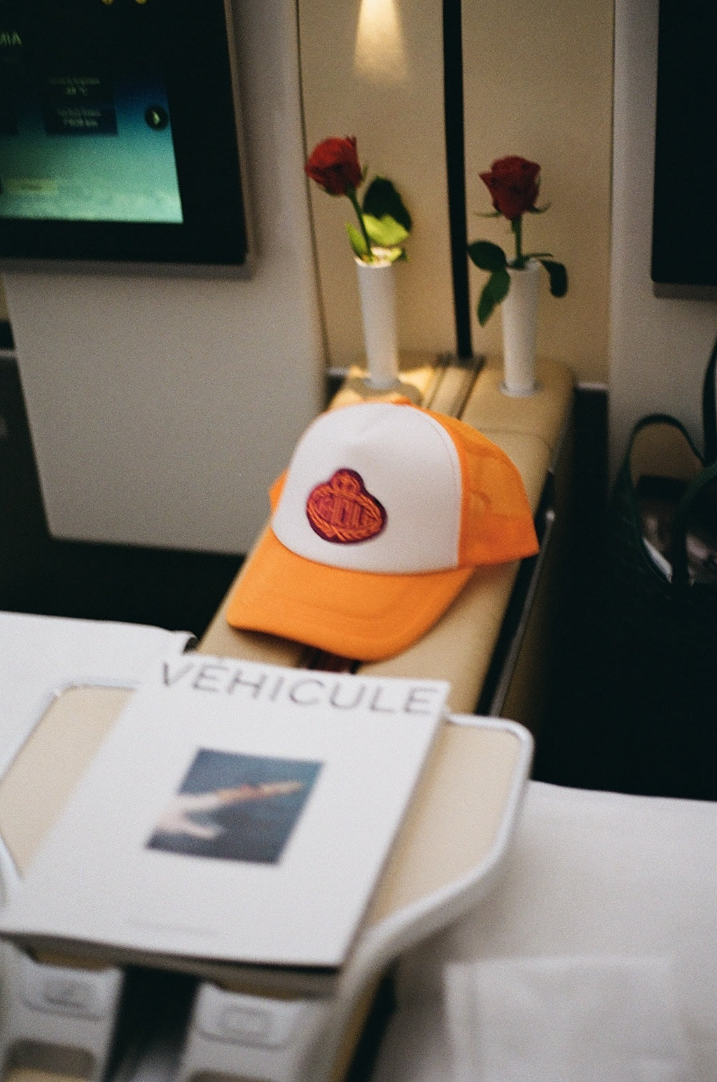 THE 500$ TRUCKER HAT