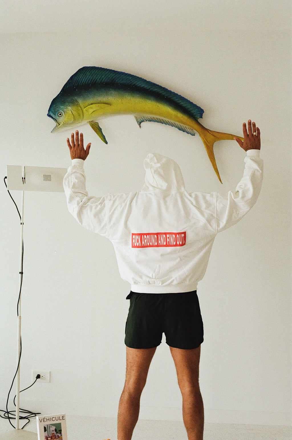 FAFO EMBROIDERY HOODIE