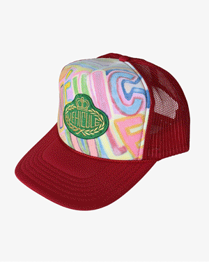 THE 500$ TRUCKER HAT