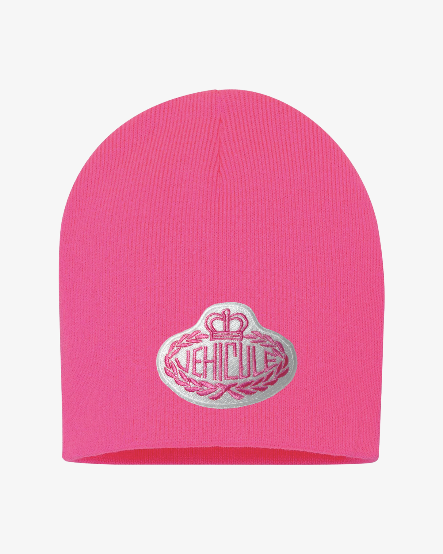 THE 500$ BEANIE