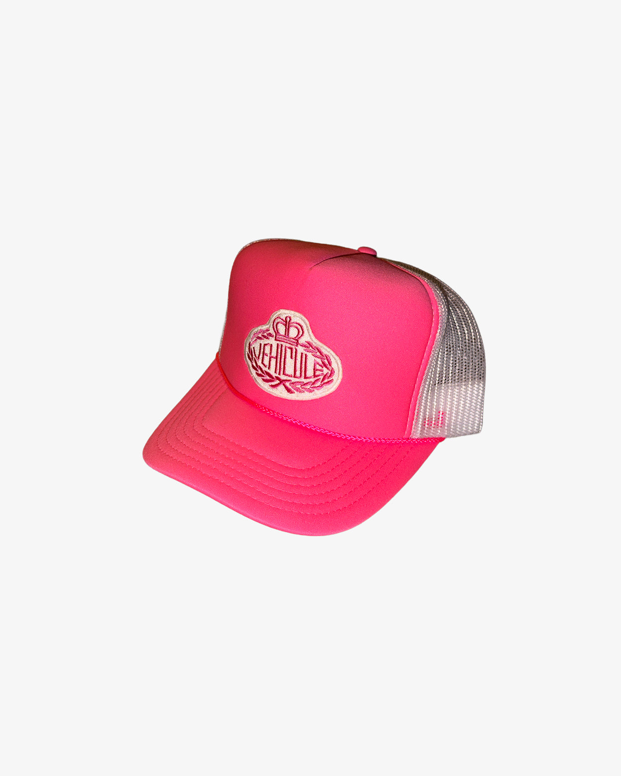 THE 500$ TRUCKER HAT